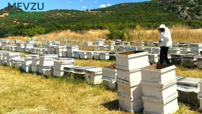 'Arıcılık Kayıt Sistemi' güncelleme çalışmaları sürüyor