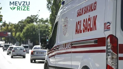 İzmir'de Ayı Saldırısı: Bir Kişi Hayatını Kaybetti
