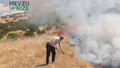 Mardin'de Yeşil Alanı Tehdit Eden Orman Yangını Çıktı