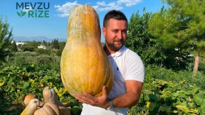 Ata Tohumu ile Büyüyen Dev Meyve: 50 Kilogram Ağırlığında!