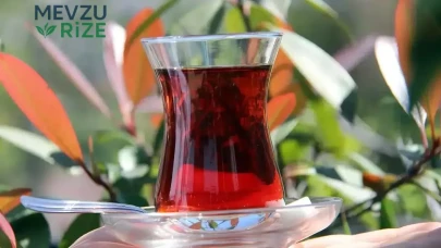ÇAYKUR'dan Kuru Çayda Şok Zam: Fiyatlar Yüzde 15 Yükseldi!