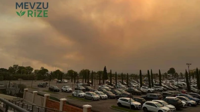 İspanya, Orman Yangınları Nedeniyle Acil Durum İlan Etti!