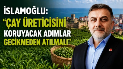 İslamoğlu: Çay Üreticisini Koruyacak Adımlar Gecikmeden Atılmalı