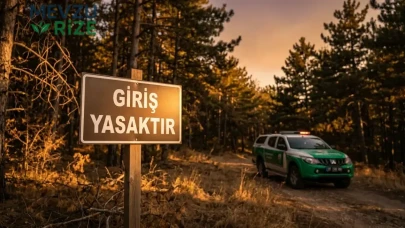 Başkentte ormanlar için yeni karar: Yasaklar uzatıldı, uymayana ağır cezalar geliyor!