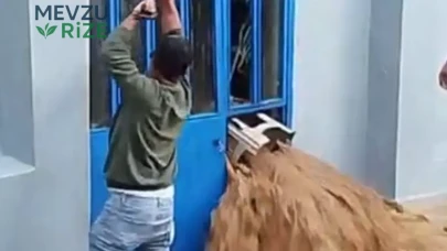 Şiddetli Yağışlar, Sel Felaketini Doğurdu