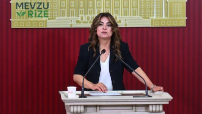 DEM Parti'den Çerçeve Yasa Üzerine Önemli Açıklama: Silahların Kontrolü Hukuki Güvence Haktır