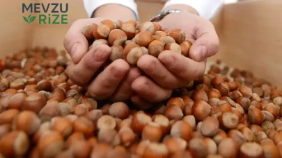 Fındık Fiyatlarındaki Dalgalanmalar: Üreticilere Yansımaları Ne Olacak?