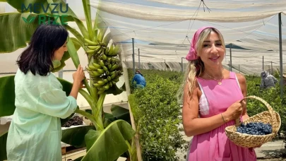 Şehirden Uzaklaşan Çift, Urla'da Topraksız Tarım ile Yeni Bir Hayata Adım Attı