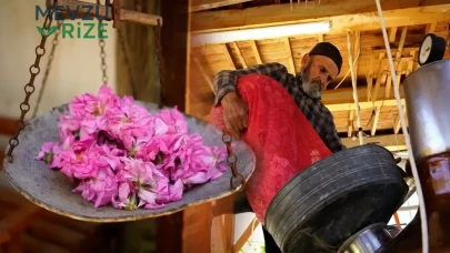 Günün Aydınlanmasıyla Başlayan Gül Hasadı: 3 Litresu ile 1 Kilo Gül Yağı Üretimi!