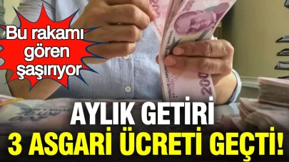 Aylık Kazanç Dağıtımı: 3 Milyon TL Yatırımı 3 Asgari Ücreti Geride Bıraktı!