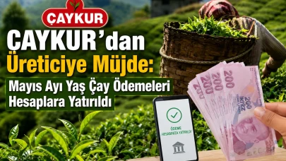ÇAYKUR'dan Üreticiye Müjde: Mayıs Ayı Yaş Çay Ödemeleri Hesaplara Yatırıldı