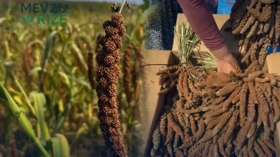Osmaniye'de Yerli Üretim Kuş Yemi Dönemi: Artık Çin'den İthalata Gerek Yok!