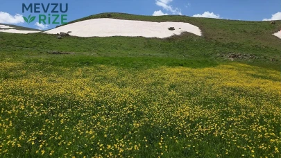 Norduz'da Mevsimlerin Buluşması: Karlı Zirveler ve Çiçek Açan Yaylalar Göz Kamaştırıyor!