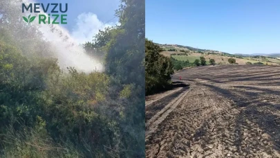 Balıkesir'de Beş Farklı Bölgedeki Zirai Yangınlar Söndürüldü!