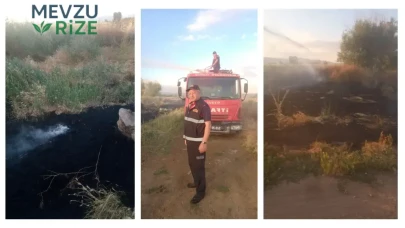 Anız Yangını Ormanı Tehdit Etmeden Denetim Altına Alındı!
