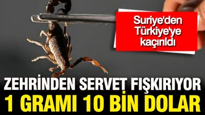 Suriye'den Türkiye'ye Ulaşan 500 Gramlık Yapay Zehir: Fiyatı 5 Milyon Dolar!