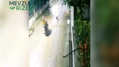 İndore'de Motosikletli Kurye, Leoparın Saldırısına Uğradı!