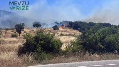 Çanakkale Ayvacık'ta Yangın Alarmı: Ormanlık Alanda Alevler Yükseldi!