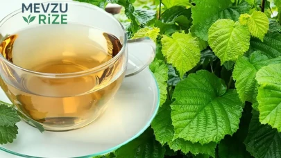 Dut Ağacı Yaprağı Çayının Faydaları ve Olumsuz Etkileri: Sağlığınız İçin Bilmeniz Gerekenler