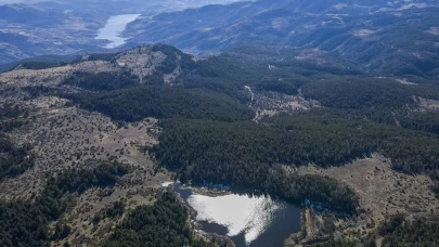 Ankara'daki Ormanlara Giriş Yasağının Süresi Uzatıldı