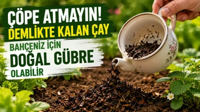 Çöpe Atmayın! Demlikte Kalan Çay Bahçeniz İçin Doğal Gübre Olabilir