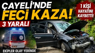 Çayeli'nde Feci Kaza: 1 Kişi Hayatını Kaybetti, 3 Yaralı