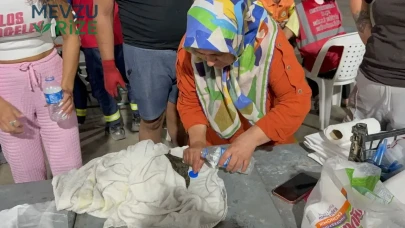 Alevlerin İçinde Kalan Kaplumbağayı Kurtarma Mücadelesi!