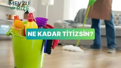 Titizlik Seviyenizi Ölçün: Bu Testle Kendinizi Keşfedin!