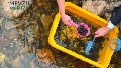 Trabzon'da Üretilen Ürünler, Ordu Nehirlerine Hayat Verdi!