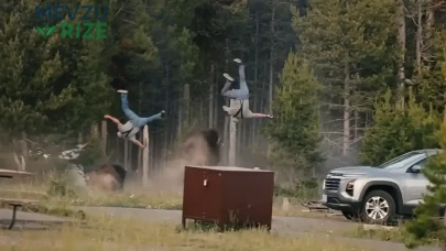 Bisonların Yellowstone'da Korkutucu Saldırısı: Yaşlı Adamı 2,5 Metre Yükseğe Fırlattı!