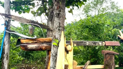 Rizelilerin Geleneksel Ayı Savarı: 'Carimangana' ile Kültürel Mirası Yaşatma Çabası