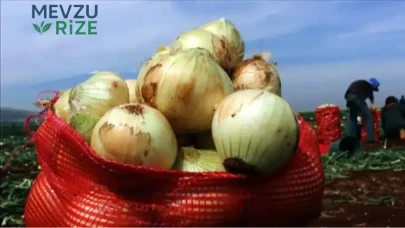 Soğan Fiyatları Neden Rekor Kırıyor? Kilogramı 50 Lirayı Geçti!