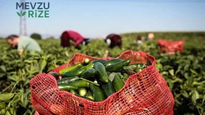 Zararlar Üreticiyi Kimyasal Üretime Yönlendirdi