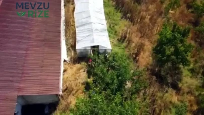 Tekirdağ’da Uyuşturucu Çetelerine Darbe: 109 Kök Hint Keneviri Ele Geçirildi