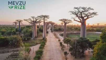 Afrika’nın Hint Okyanusu’ndaki Eşsiz Cenneti: Madagaskar’ın Göz Kamaştıran Zenginlikleri
