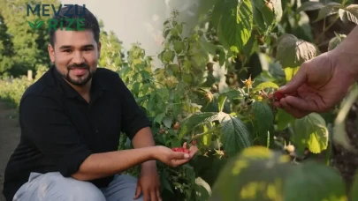 Bolu'da 27 yaşındaki genç, kaymakamlık hayallerini geride bırakarak 'Kendi topla, kendi ye' konseptiyle bahçe yöneticiliğine adım attı!