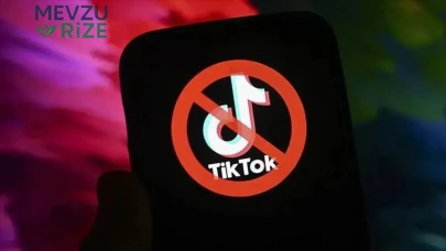 TikTok’ta Olay Yaratan Görüntüler: Kız Kardeşini Etkileşim İçin Feci Şekilde Hedef Aldı