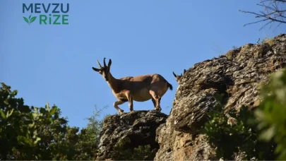 Zirveden Yürüyüş Yoluna İnenler, Tomara Şelalesi'nde Coşku Dolu Anlar Yaşadı