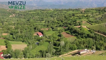 Bitlis'in Gizli Cennetine Ziyaretçi Yağmuru: Her Köşede Onlar Var!
