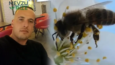 Arı Sokması ile Hayatını Kaybeden Genç Esnaf: Belirtilere Dikkat!