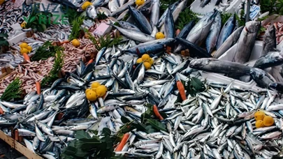 İstanbul'da Balık Marketlerinde Fiyatlar Açıklandı: En Yüksek Fiyatlı Deniz Ürünü Nedir?