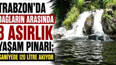 Trabzon’un Dağları Arasında 300 Yıldır Hayat Veren Pınar: Saniyede 120 Litre Su Akıyor!