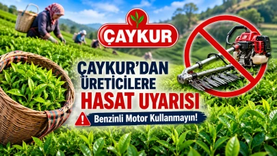 ÇAYKUR'dan Üreticilere Hasat Uyarısı: Benzinli Motor Kullanmayın