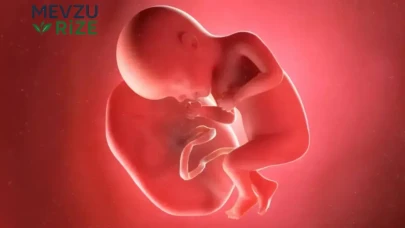 İnsan Plasentası: Tıbbi Atık mı, Şifa Kaynağı mı?