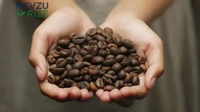 Türkiye'de Kişi Başına Yıllık Kahve Tüketimi 2,5 Kilograma Ulaştı