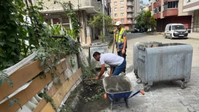 Arhavi Belediyesi'nden Menfez Temizliği! Boğaziçi ve Musazade Mahallelerinde Çalışmalar Sürüyor