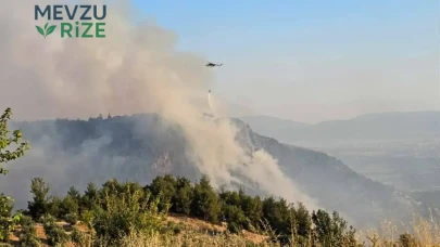 Denizli'deki Orman Yangını, 14 Saat Sonra Kontrol Altına Alındı