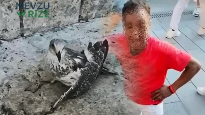 Üsküdar'da Martıya İşkence Eden Şahsa Yolculuk İzni Yok: Deport Kararı Çıktı!
