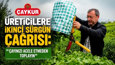 ÇAYKUR'dan İkinci Sürgün Açıklaması: Yaş Çay Alımları Devam Ediyor, Üreticilere Acele Etmeyin Çağrısı