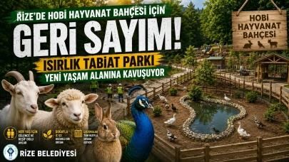 Rize'de Hobi Hayvanat Bahçesi İçin Geri Sayım! Isırlık Tabiat Parkı Yeni Yaşam Alanına Kavuşuyor
